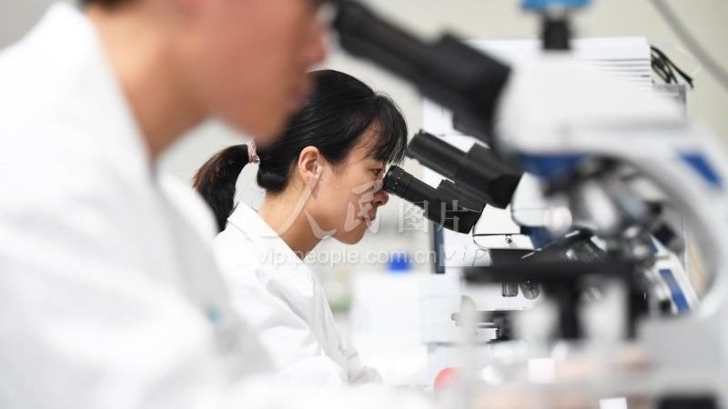 CDMO价格对比：揭秘选择最经济的考量因素