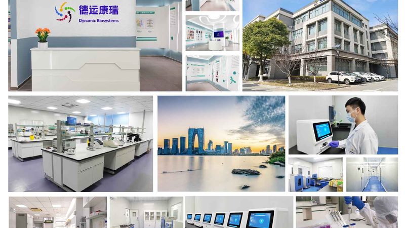细胞培养代理解析：揭秘高效细胞培养的关键**