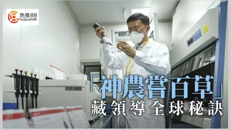 宠物PCR检测：流程步骤全解析