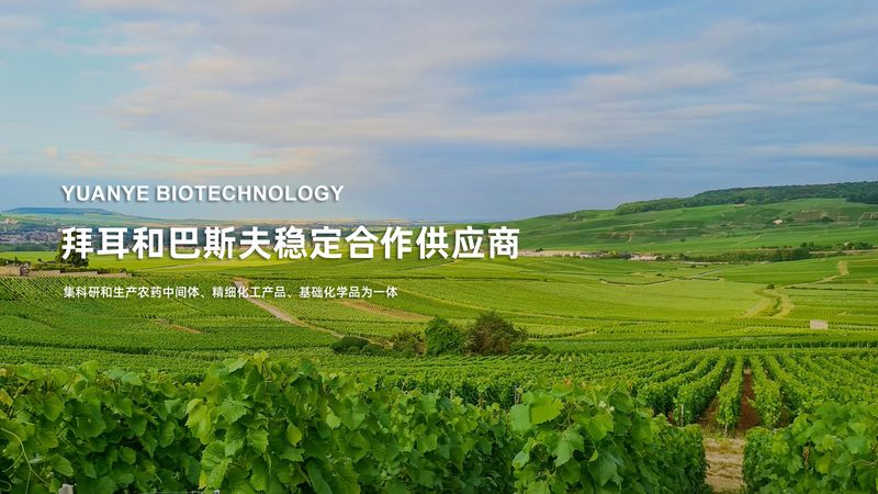 全基因组测序参数解析：揭秘精准医疗的基石
