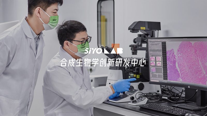 CDMO研发外包公司排名背后的考量因素