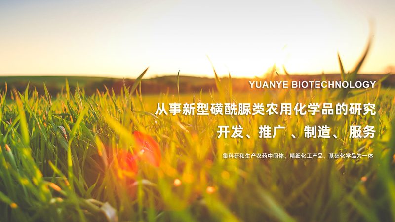 离心管：实验室中不可或缺的“助手