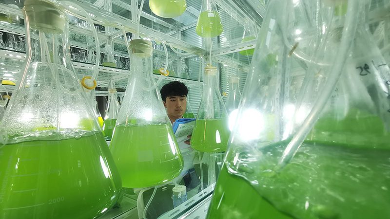 上海生物制品采购价格查询系统：揭秘其背后的价值与挑战**